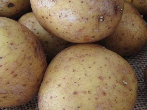 Aardappelen Koken