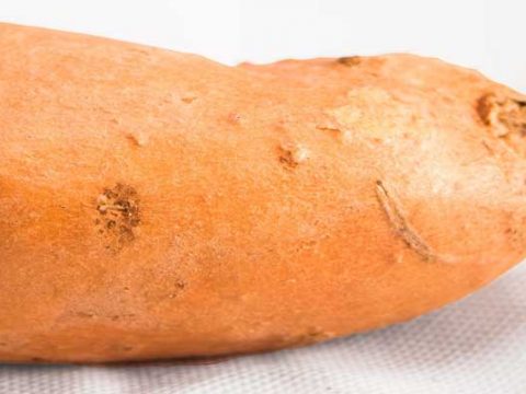 Zoete Aardappel koken