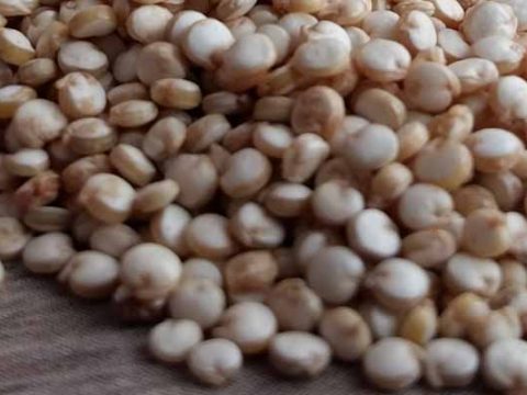 Quinoa Koken