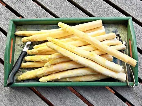 Asperges Koken